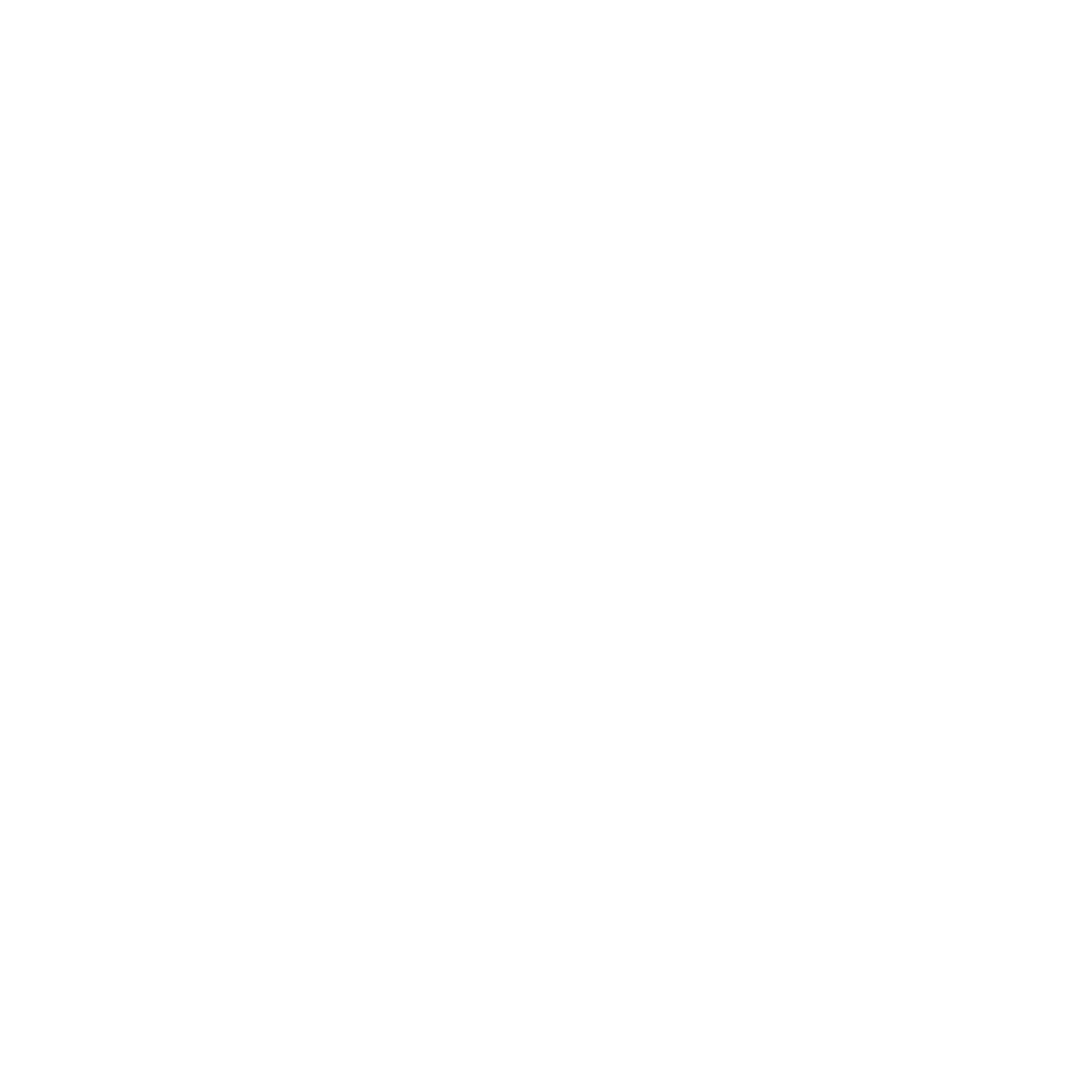 Miss Journalist